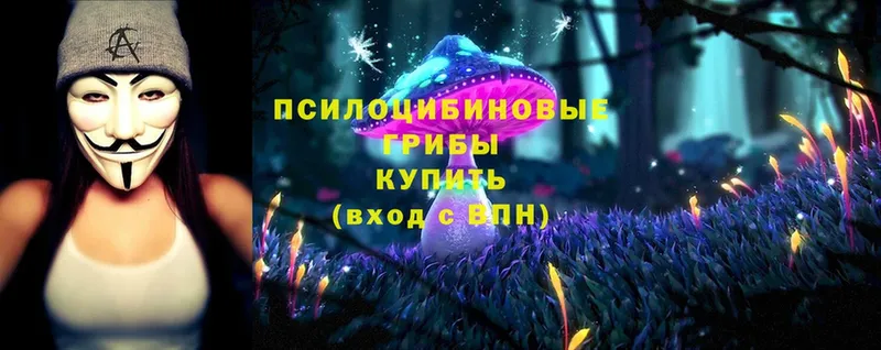 Галлюциногенные грибы MAGIC MUSHROOMS  Тобольск 